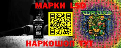прущие грибы Беслан