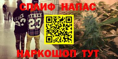 прущие грибы Беслан