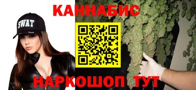 прущие грибы Беслан